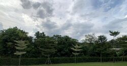 Caldecott Hill Estate (D11), Detached #583384051